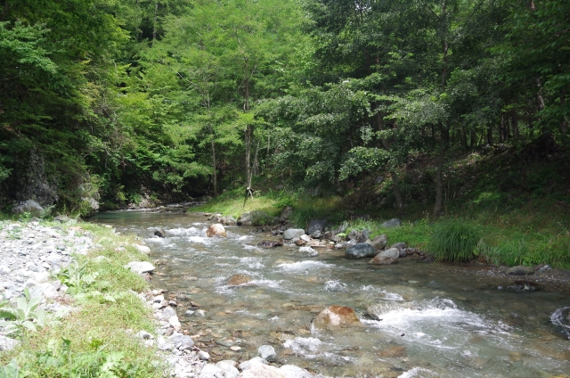 IMGP0006_S
