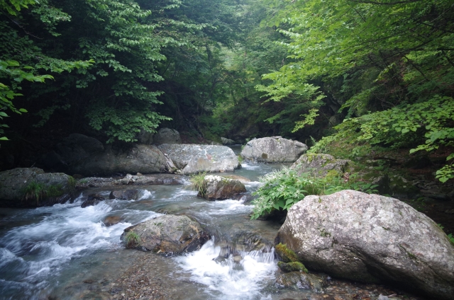 IMGP0024_S