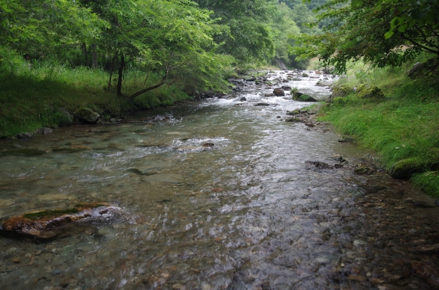 IMGP0005_S