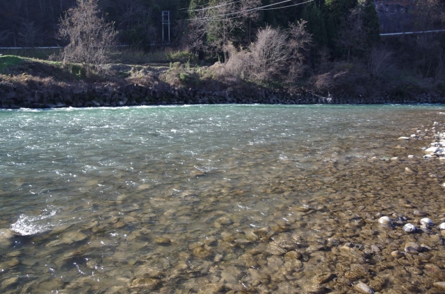 IMGP0024_S