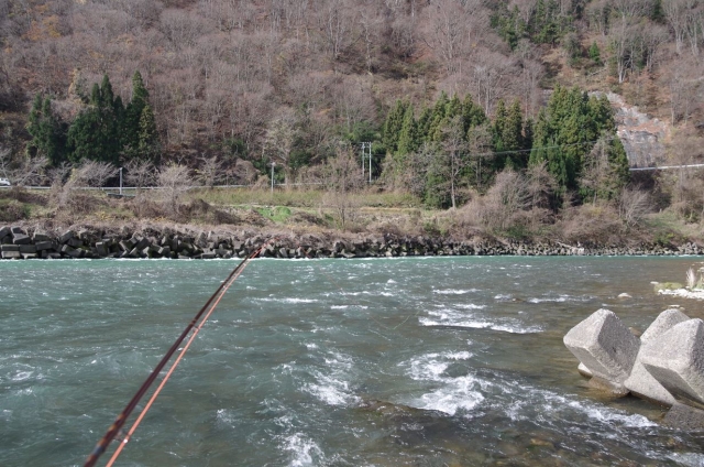 IMGP0004_S