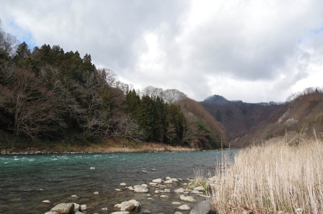IMGP0005_S