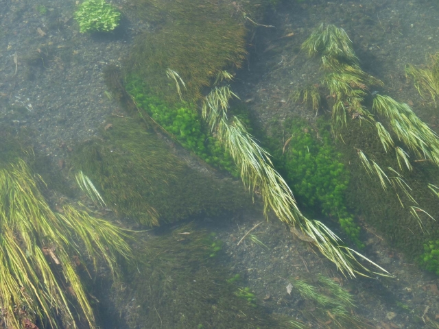 DSCF2327_S