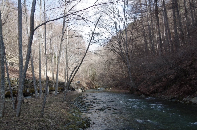 IMGP0039_S