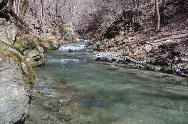 IMGP0041_S
