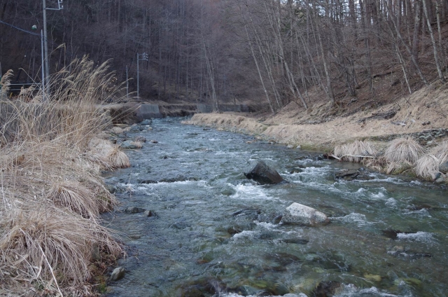 IMGP0084_S