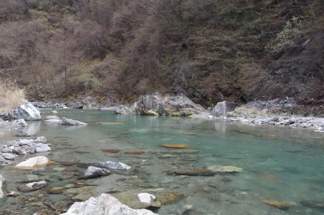 IMGP0008_S