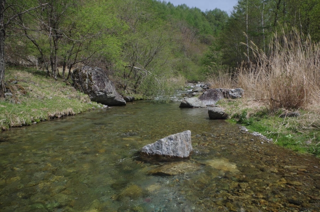 IMGP0010_S