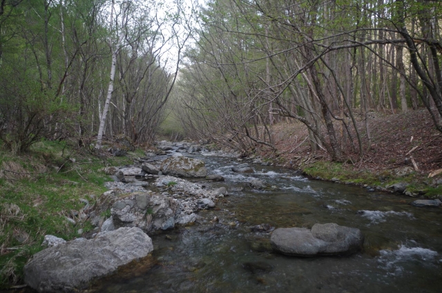 IMGP0032_S
