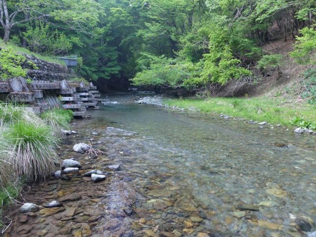 DSCF3398_S