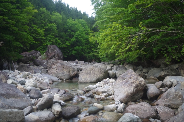 IMGP9163_S