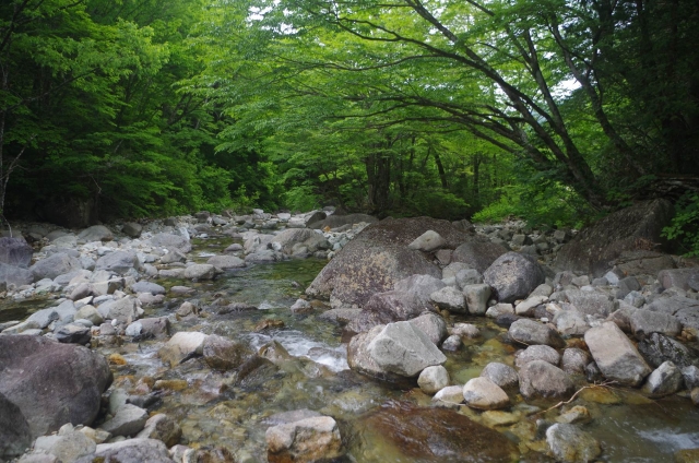IMGP9217_S