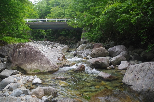 IMGP9220_S