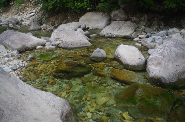 IMGP9254_S