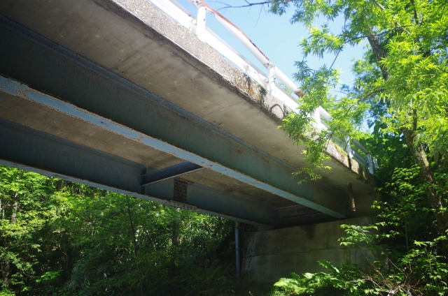 IMGP9337_S