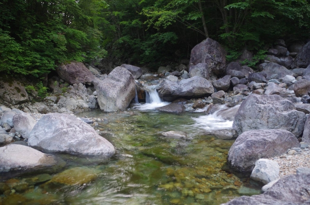 IMGP9373_S
