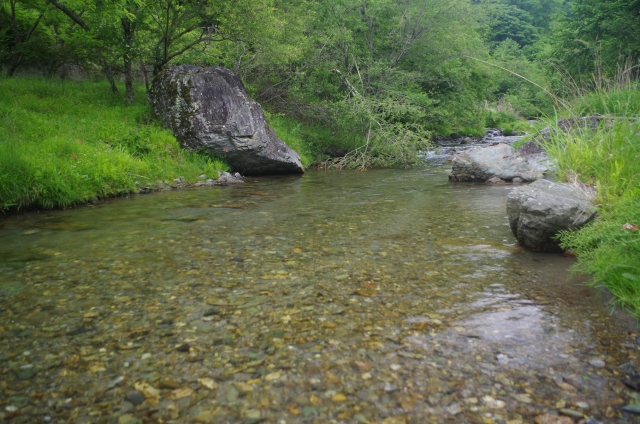 IMGP9410_S