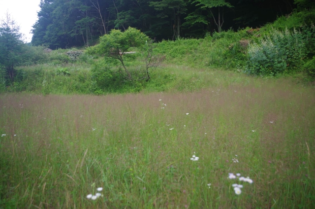 IMGP9446_S