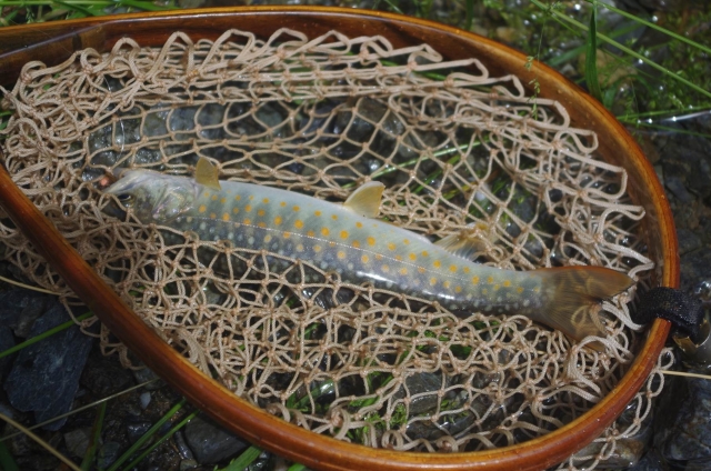 IMGP9473_S