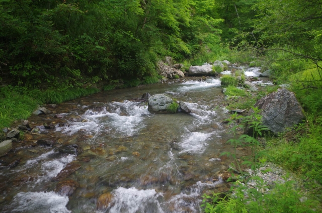 IMGP9531_S