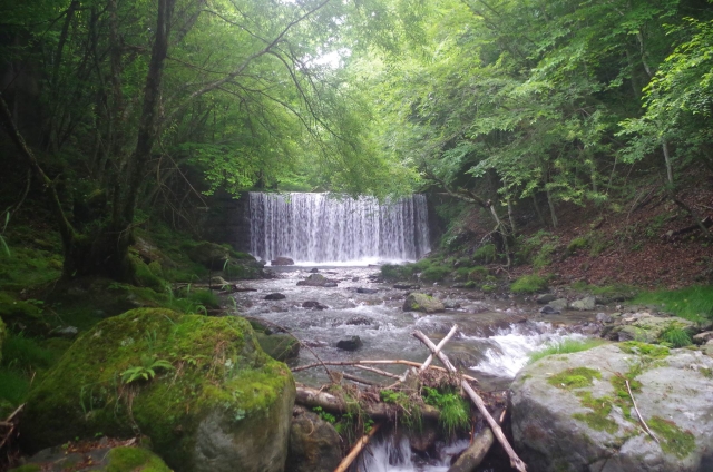 IMGP9569_S