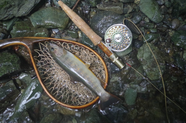 IMGP9581_S