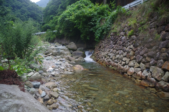 IMGP9669