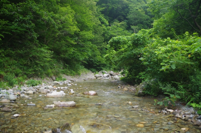 IMGP9694