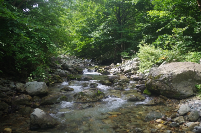 IMGP9715
