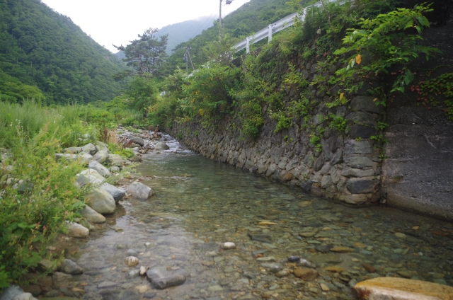 IMGP9868