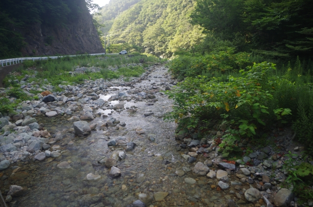 IMGP9890