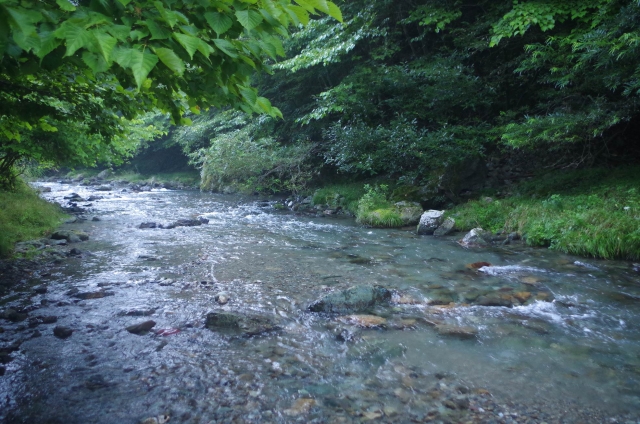 IMGP9924_S