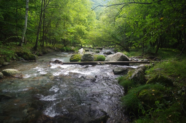 IMGP9933_S