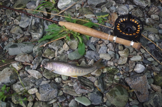 IMGP9941_S