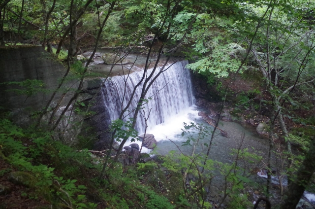 IMGP9991_S