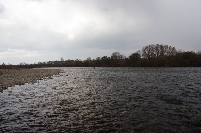 IMGP1435_S