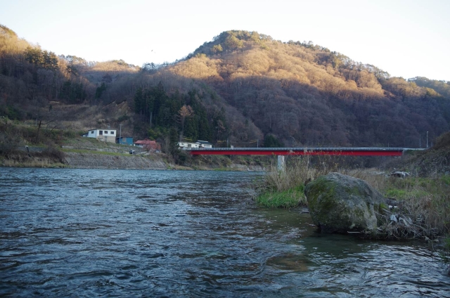 IMGP1468_S