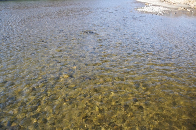 IMGP1622_S