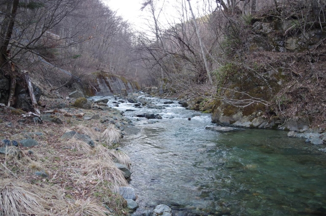 IMGP2097_S