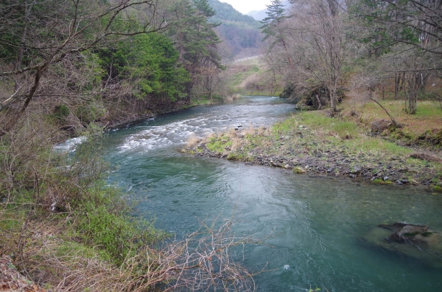 IMGP2534_S