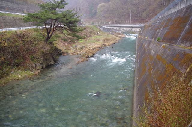 IMGP2578_S