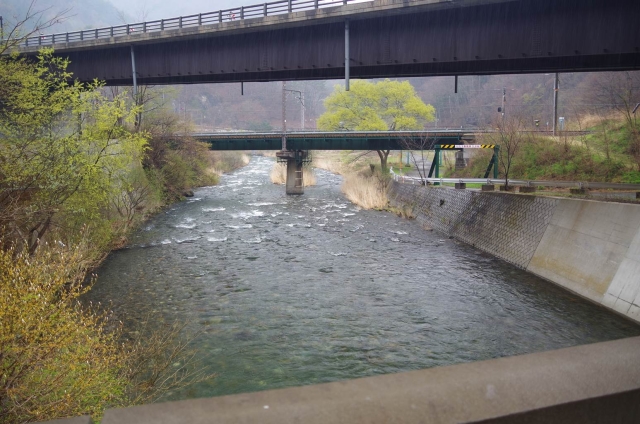 IMGP2580_S