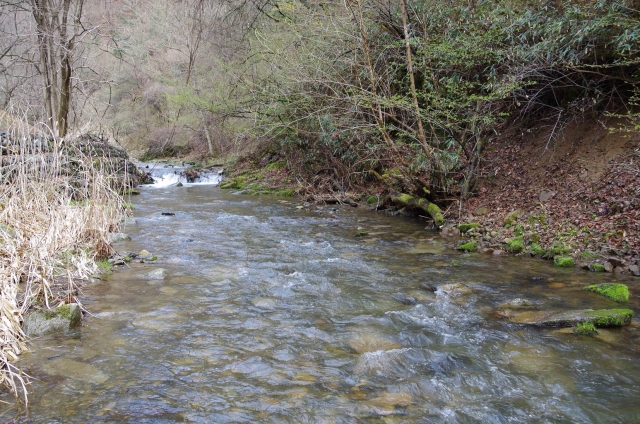 IMGP2636_S