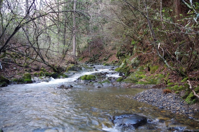 IMGP2641_S
