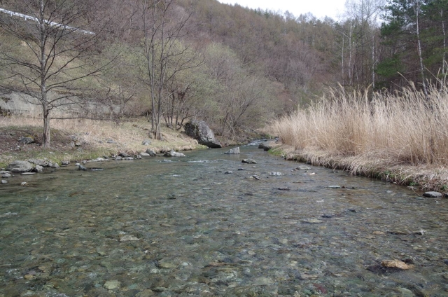IMGP2803_S