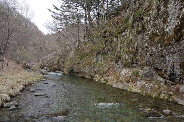 IMGP2824_S