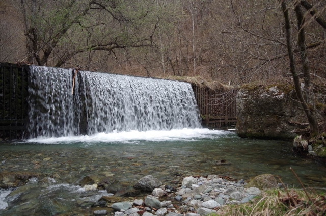 IMGP2834_S
