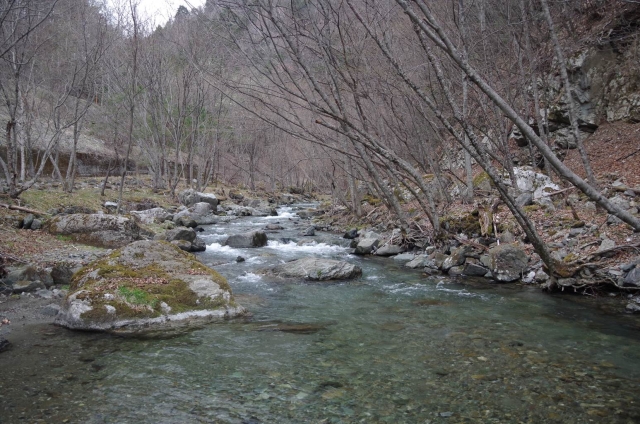IMGP2835_S