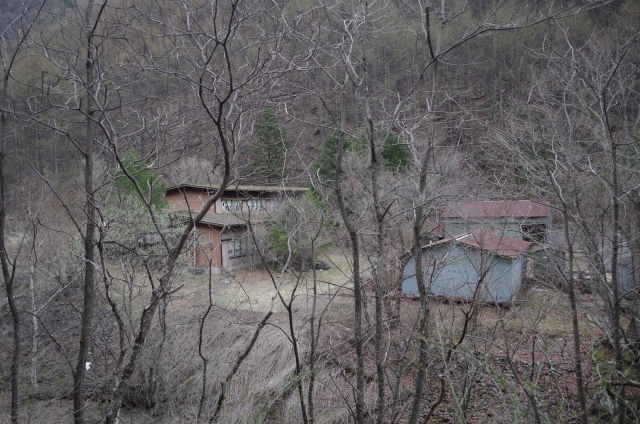 IMGP2837_S