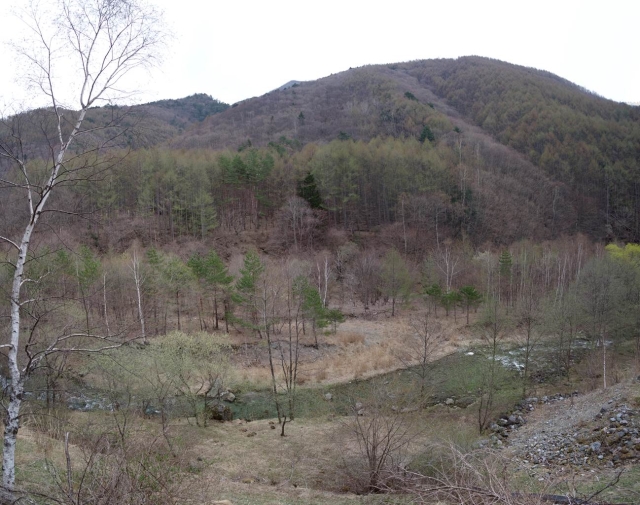 IMGP2839_stitch_S